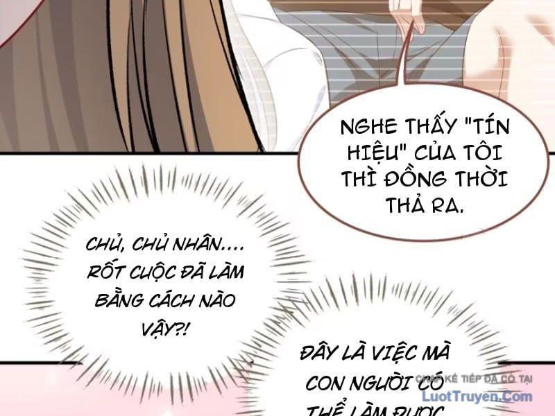 Bỏ Làm Simp Chúa, Ta Có Trong Tay Cả Tỉ Thần Hào Chap 261 - Next Chap 262
