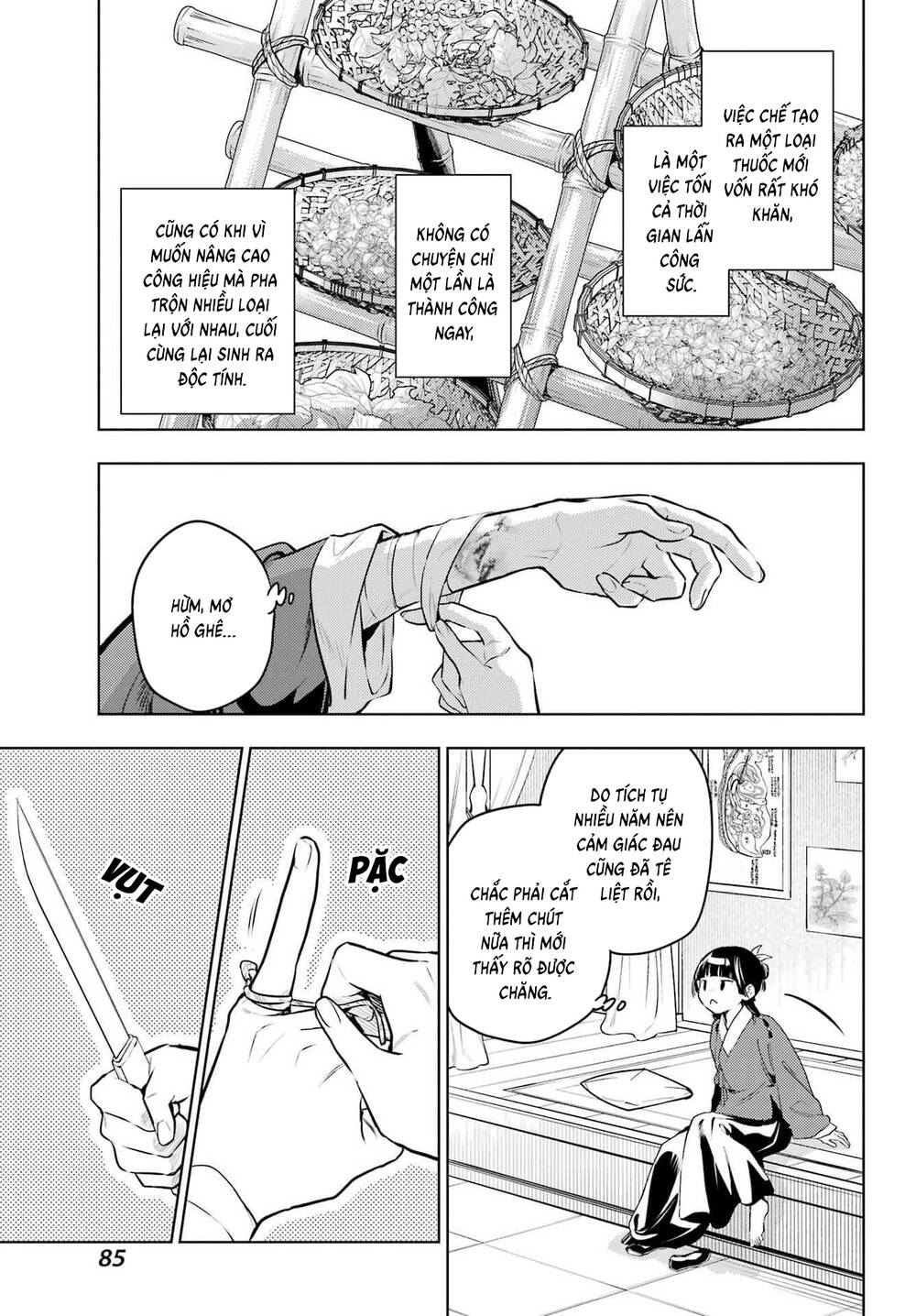 Độc Thoại Của Người Dược Sĩ Chap 84.2 - Next Chap 85.2