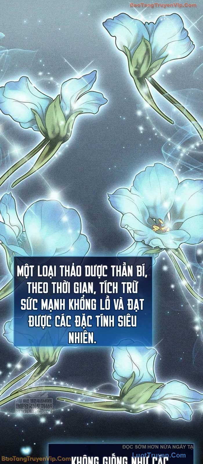 Người Chơi Che Giấu Quá Khứ Chap 97 - Next Chap 98