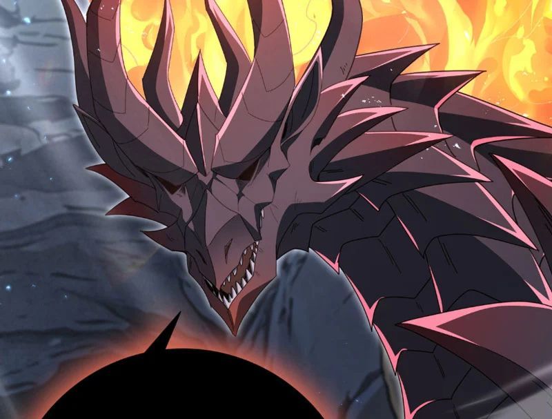 Toàn Dân Chuyển Chức: Ngự Long Sư Là Chức Nghiệp Yếu Nhất? Chap 202 - Next Chap 203