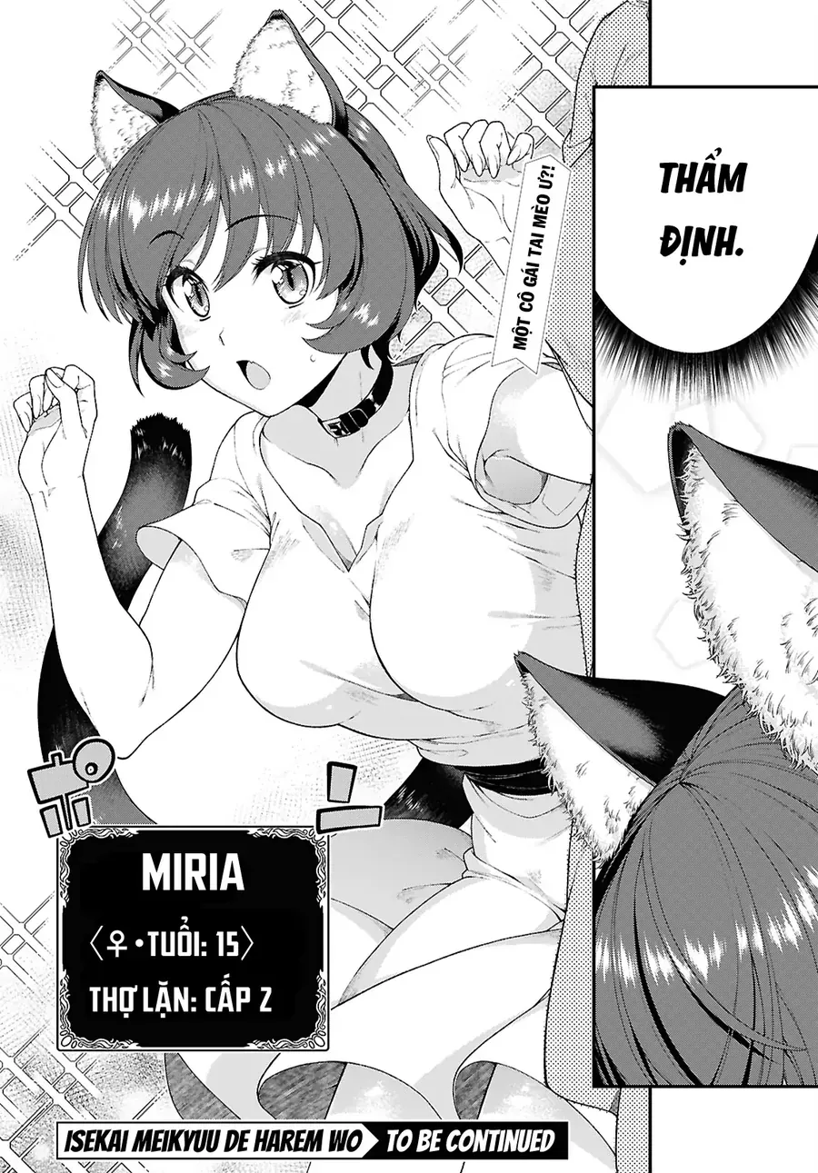 Thiết Lập Dàn Harem Tại Thế Giới Khác Chap 92 - Next Chap 93