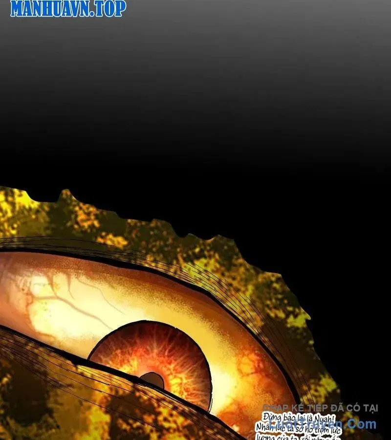 Truyền Võ Chap 494 - Next Chap 495