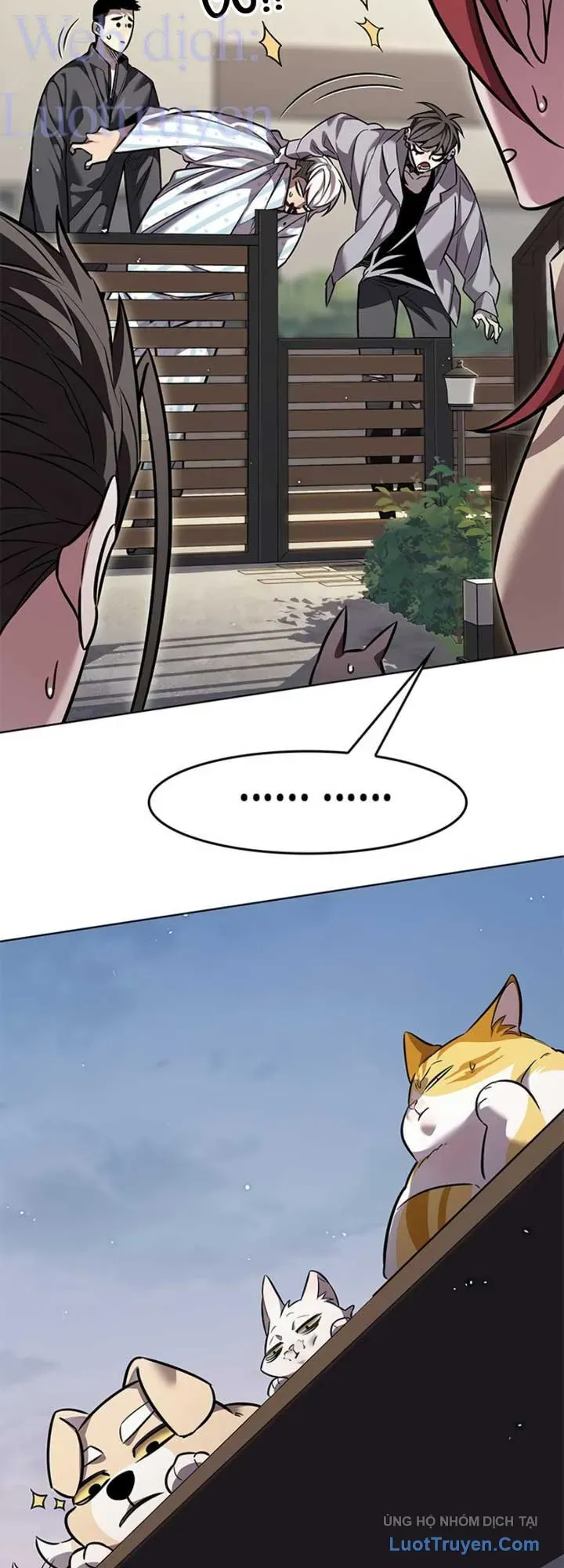 Hoá Thân Thành Mèo Chap 403 - Next Chap 404