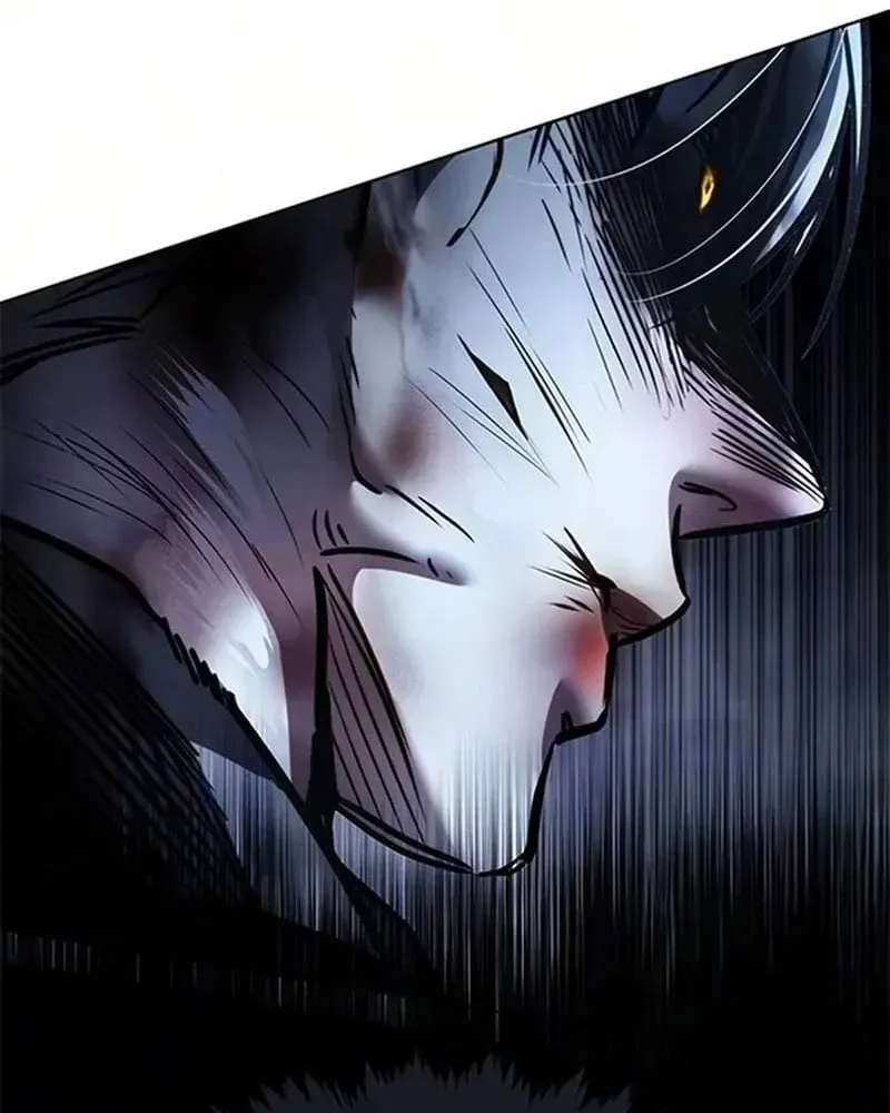 Hoá Thân Thành Mèo Chap 401 - Next Chap 402