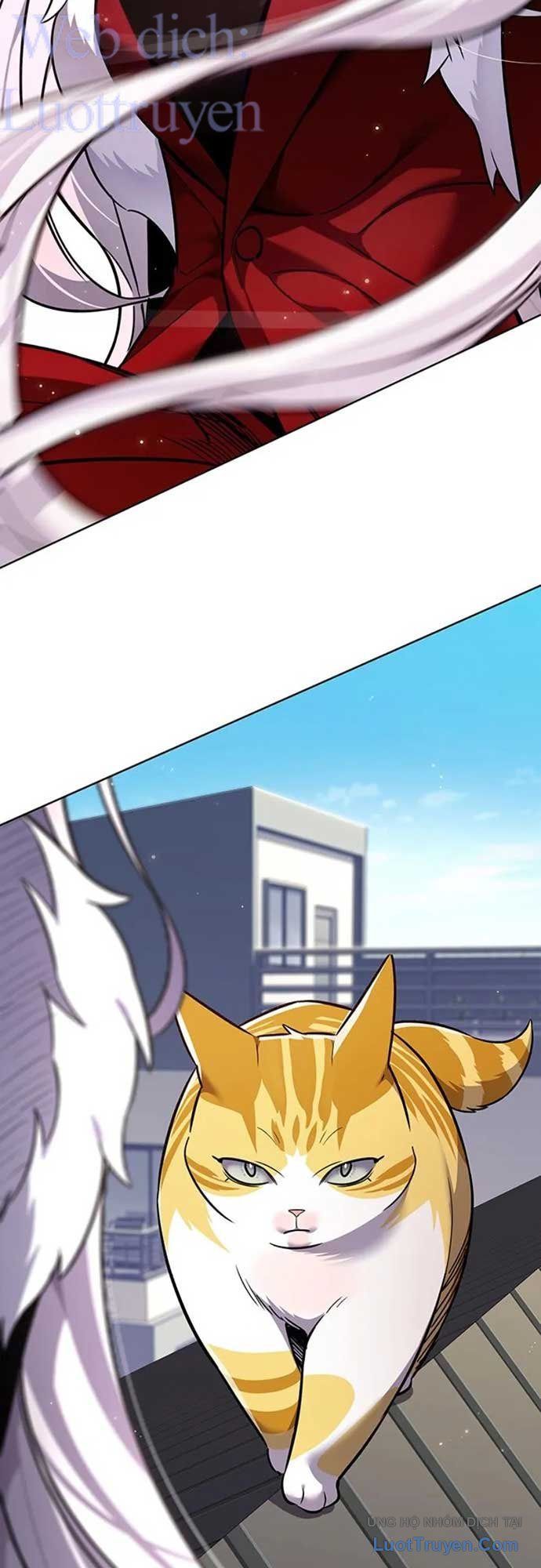 Hoá Thân Thành Mèo Chap 404 - Next Chap 405