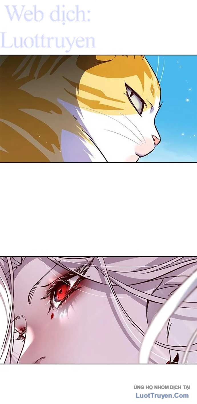 Hoá Thân Thành Mèo Chap 404 - Next Chap 405