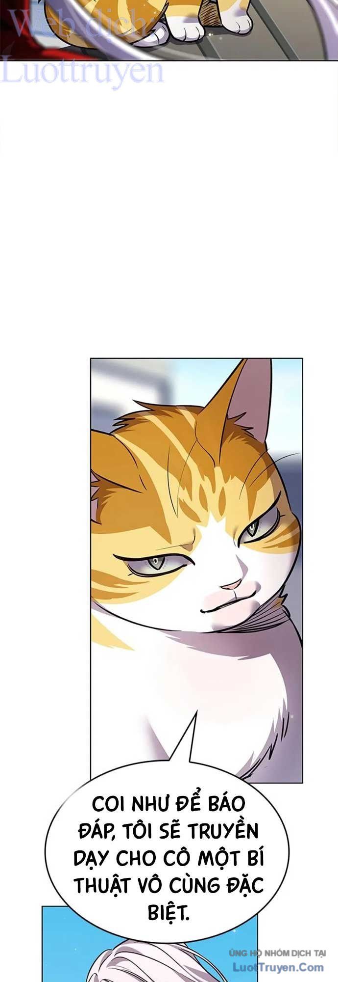 Hoá Thân Thành Mèo Chap 404 - Next Chap 405