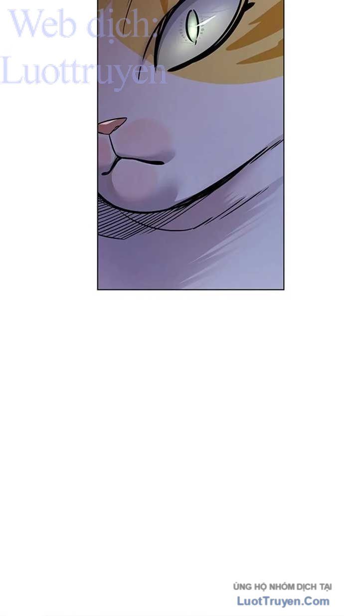 Hoá Thân Thành Mèo Chap 404 - Next Chap 405