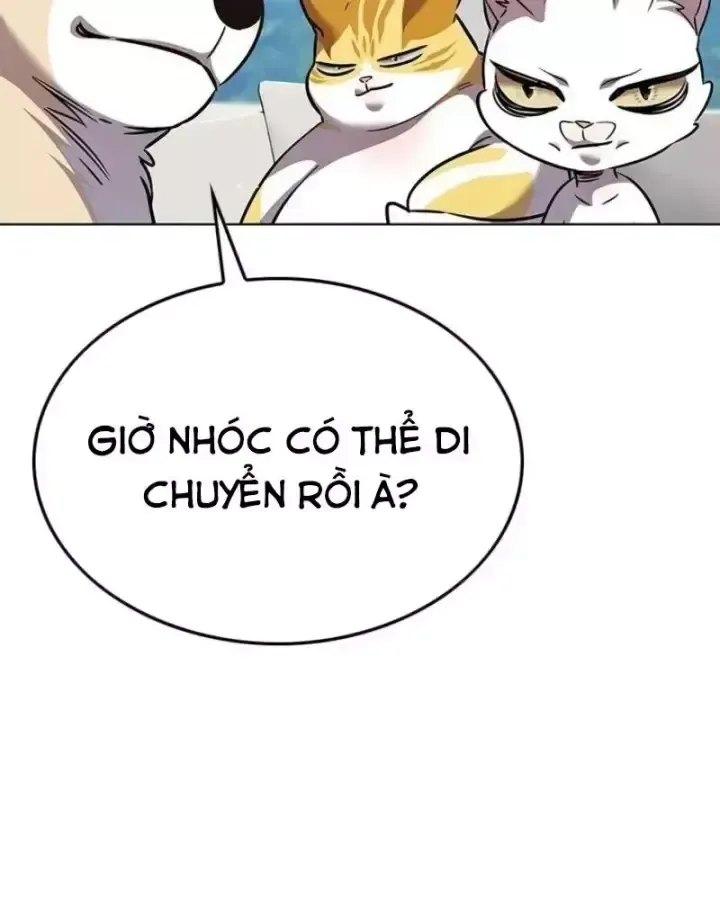 Hoá Thân Thành Mèo Chap 405 - Next Chap 406