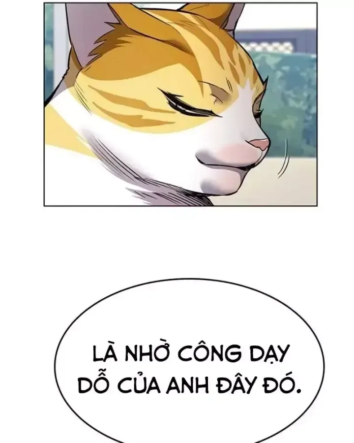 Hoá Thân Thành Mèo Chap 405 - Next Chap 406