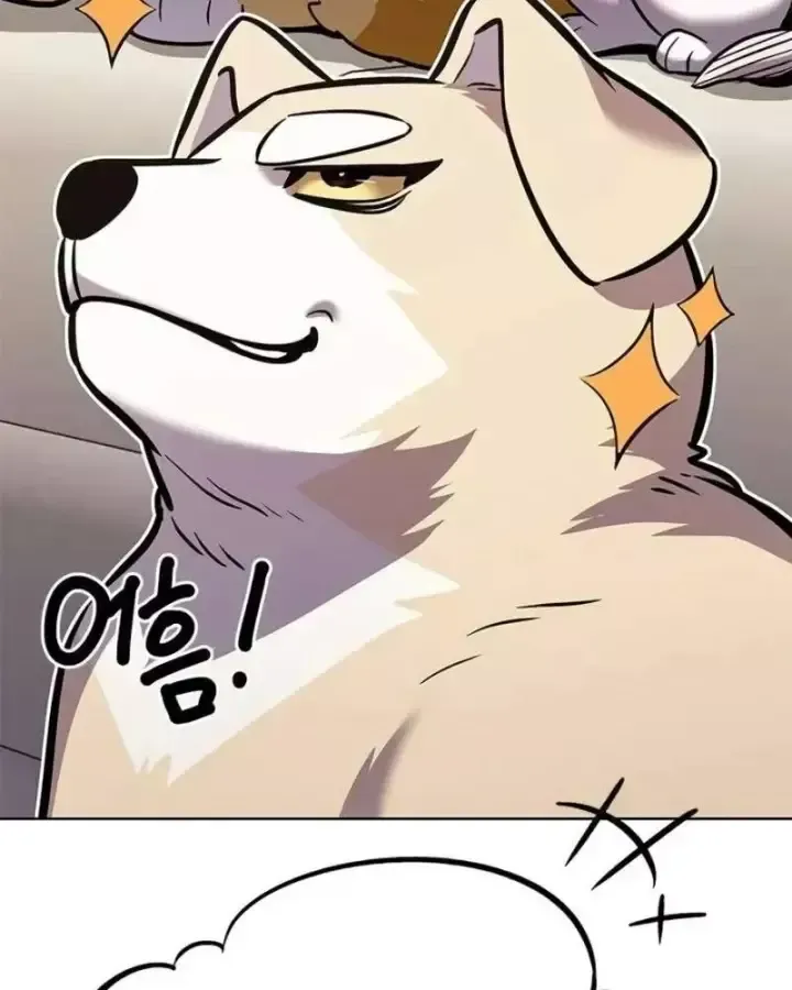 Hoá Thân Thành Mèo Chap 405 - Next Chap 406