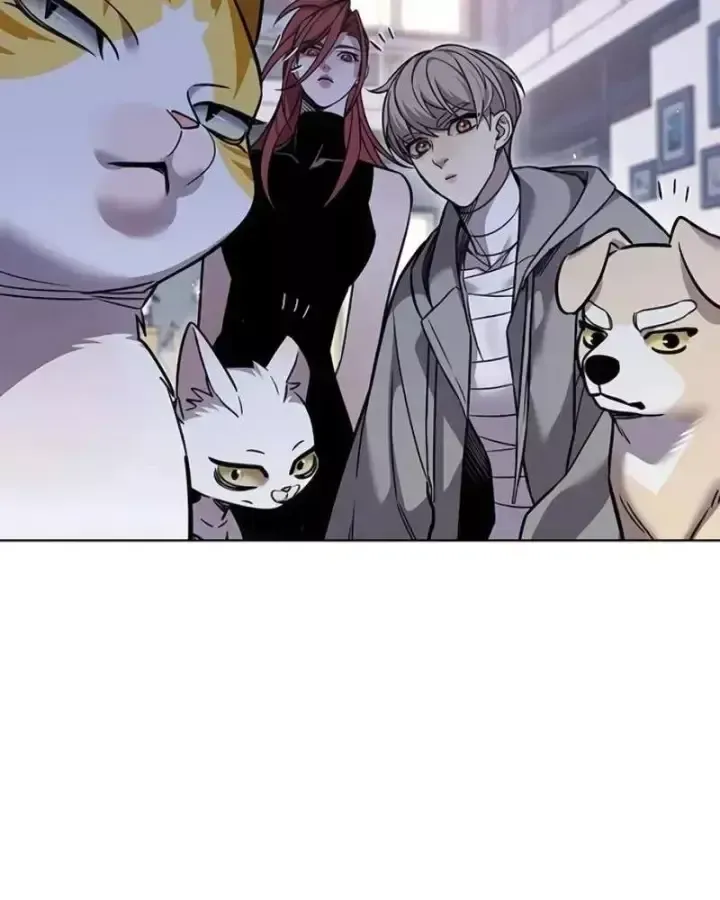 Hoá Thân Thành Mèo Chap 405 - Next Chap 406