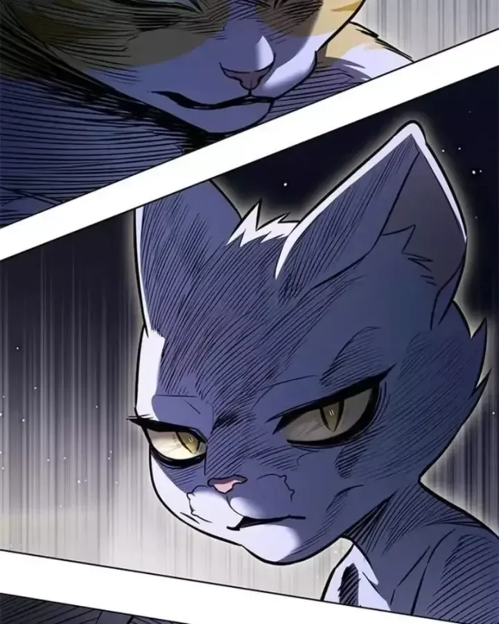 Hoá Thân Thành Mèo Chap 406 - Next Chap 407