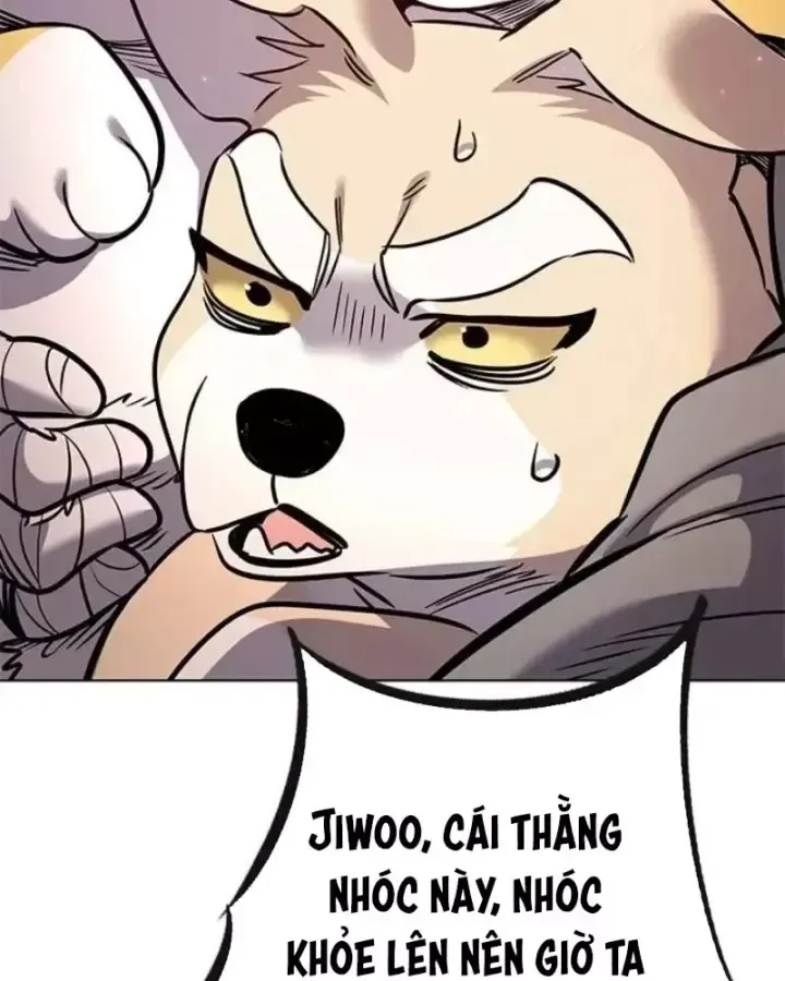 Hoá Thân Thành Mèo Chap 406 - Next Chap 407