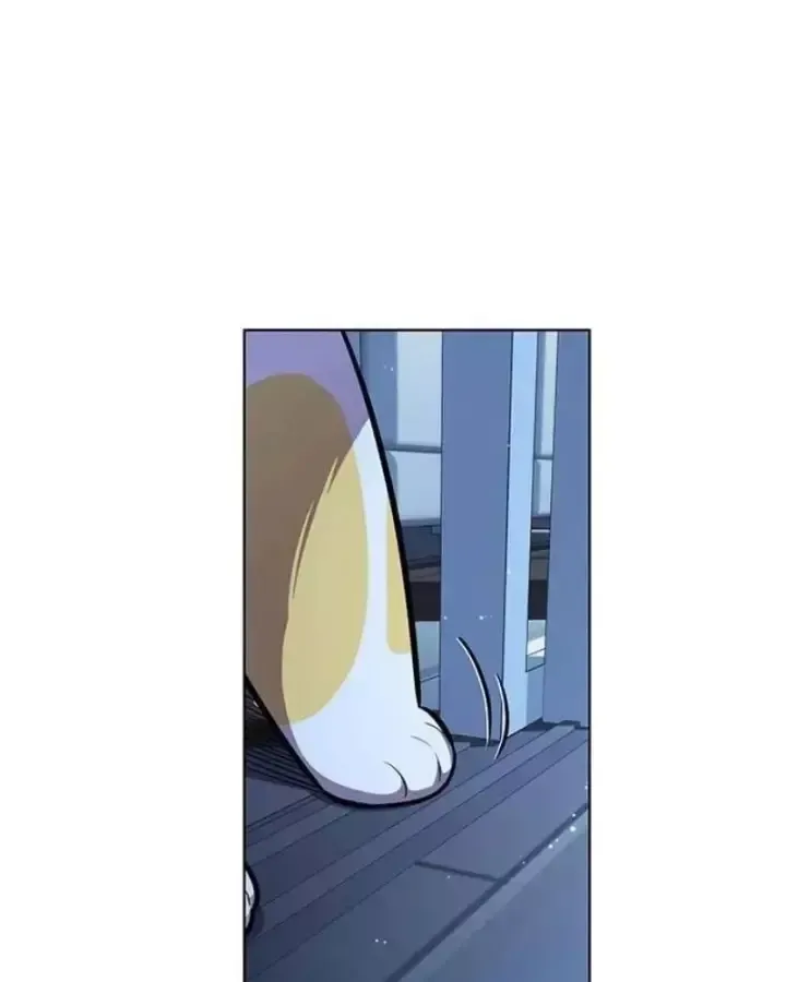 Hoá Thân Thành Mèo Chap 406 - Next Chap 407