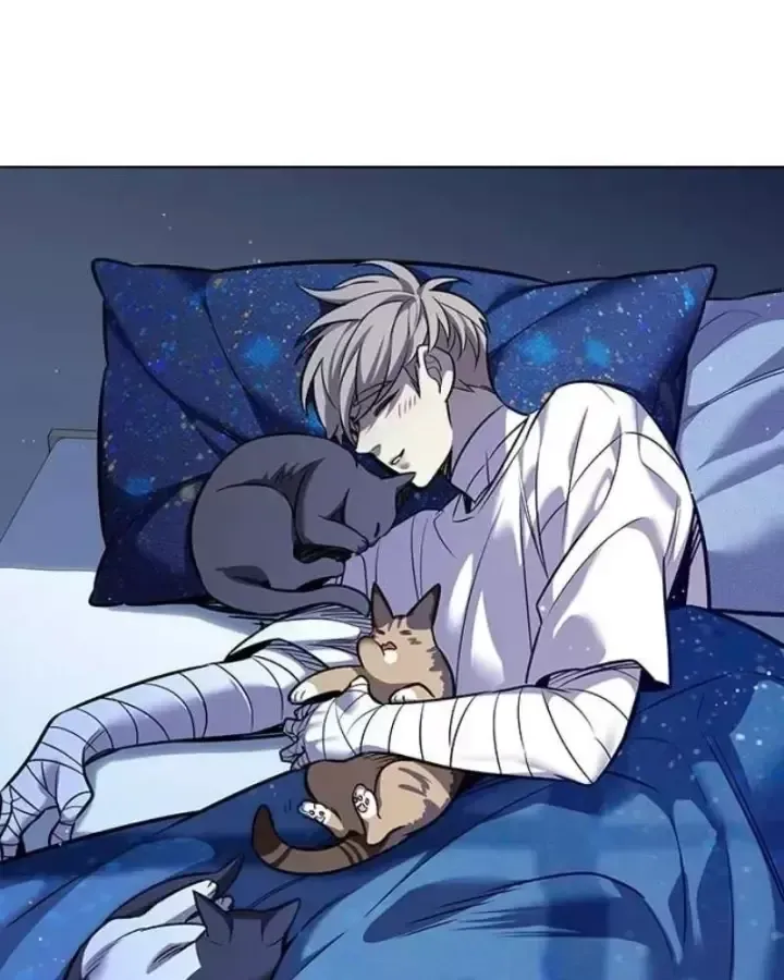 Hoá Thân Thành Mèo Chap 406 - Next Chap 407