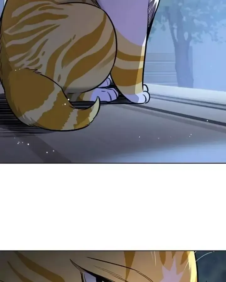 Hoá Thân Thành Mèo Chap 406 - Next Chap 407