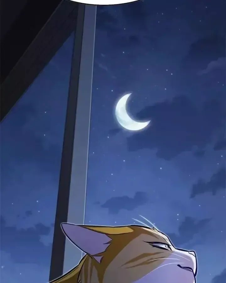 Hoá Thân Thành Mèo Chap 406 - Next Chap 407