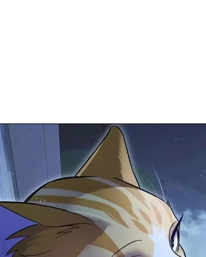 Hoá Thân Thành Mèo Chap 406 - Next Chap 407