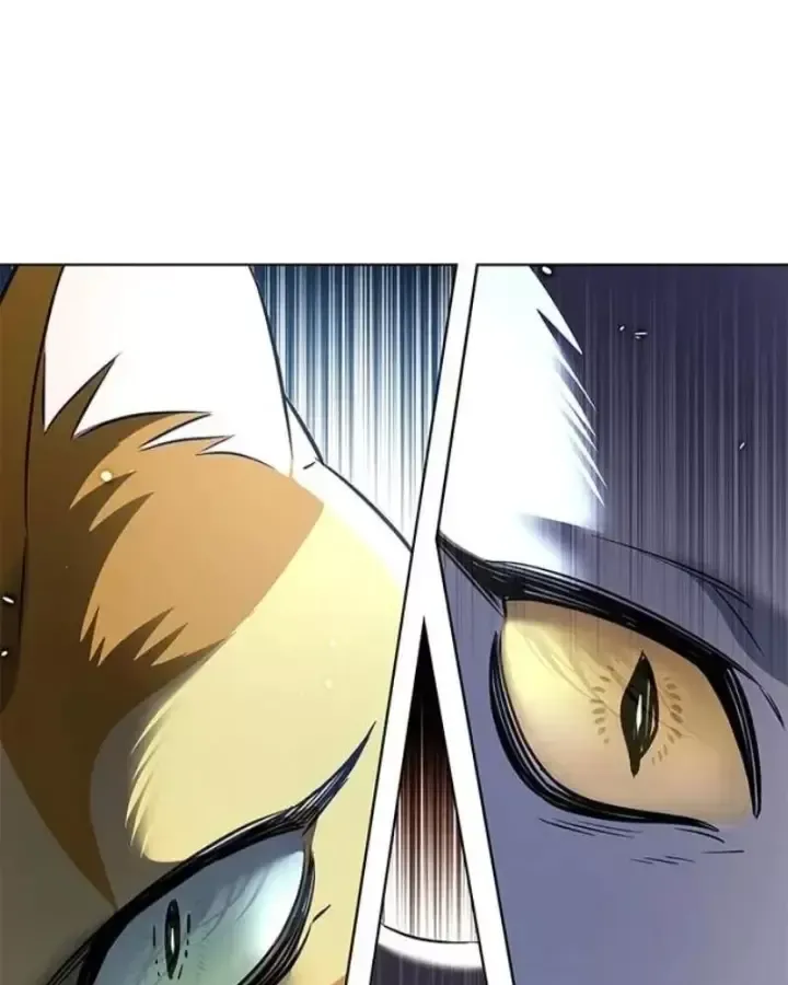 Hoá Thân Thành Mèo Chap 406 - Next Chap 407