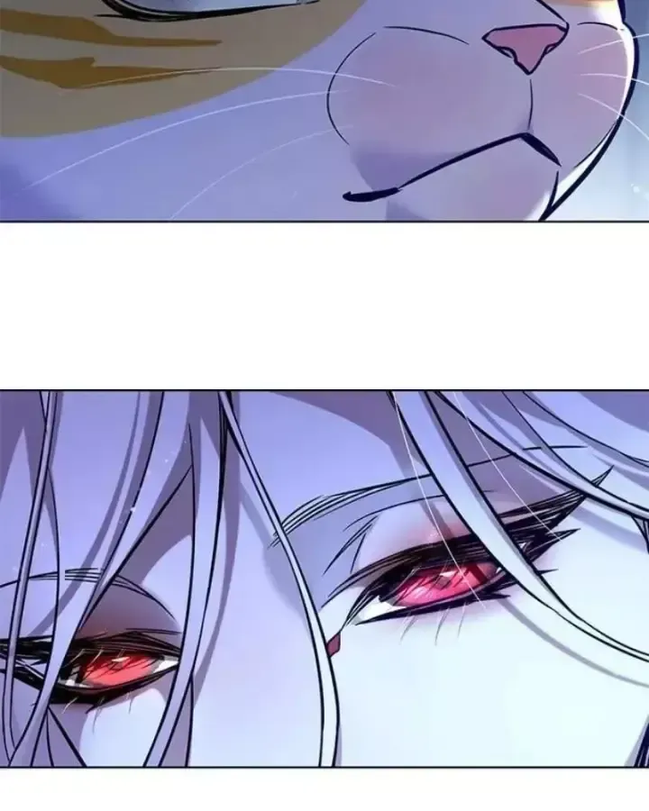 Hoá Thân Thành Mèo Chap 406 - Next Chap 407