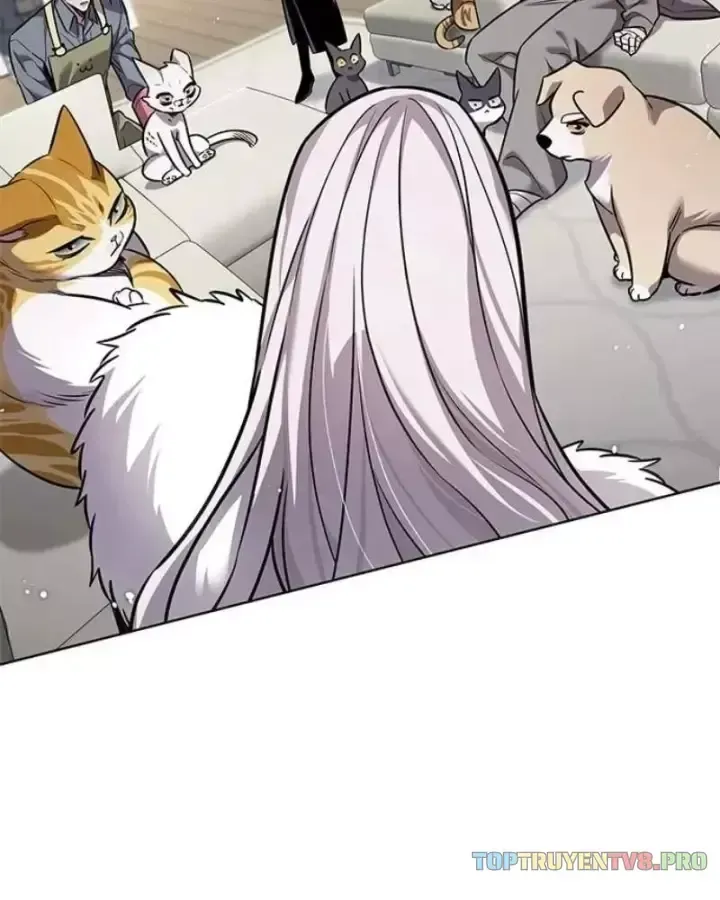 Hoá Thân Thành Mèo Chap 406 - Next Chap 407