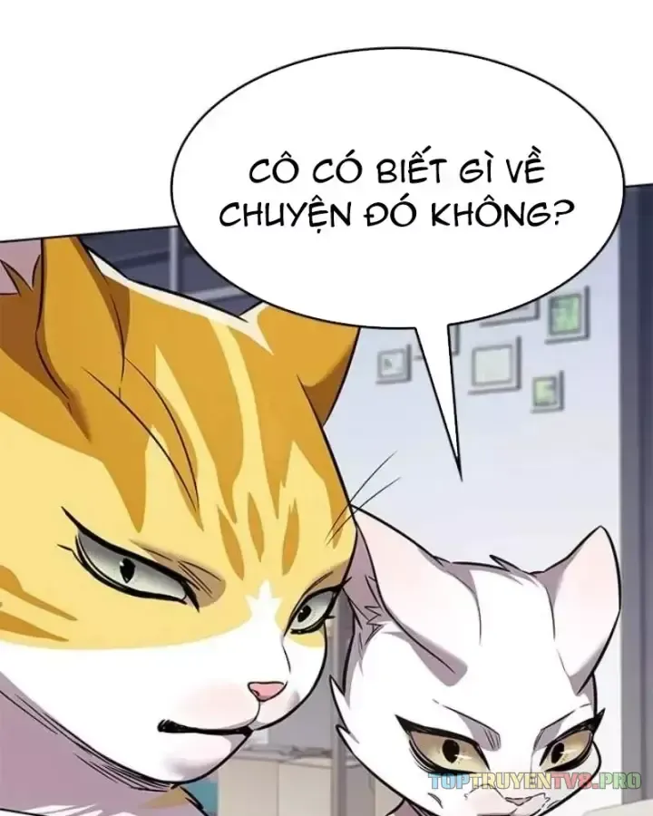 Hoá Thân Thành Mèo Chap 406 - Next Chap 407