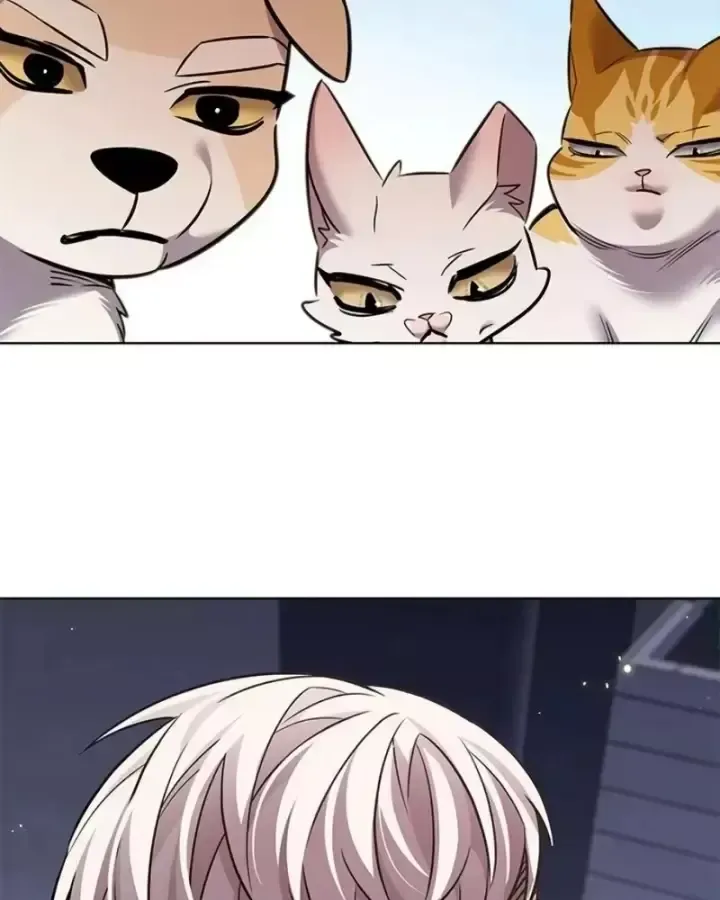 Hoá Thân Thành Mèo Chap 407 - Next Chap 408