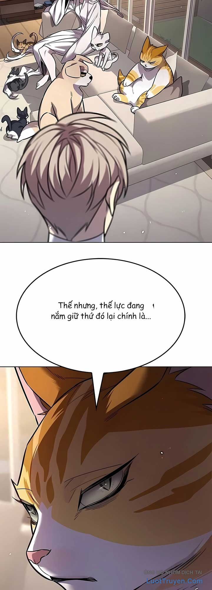 Hoá Thân Thành Mèo Chap 408 - Next Chap 409