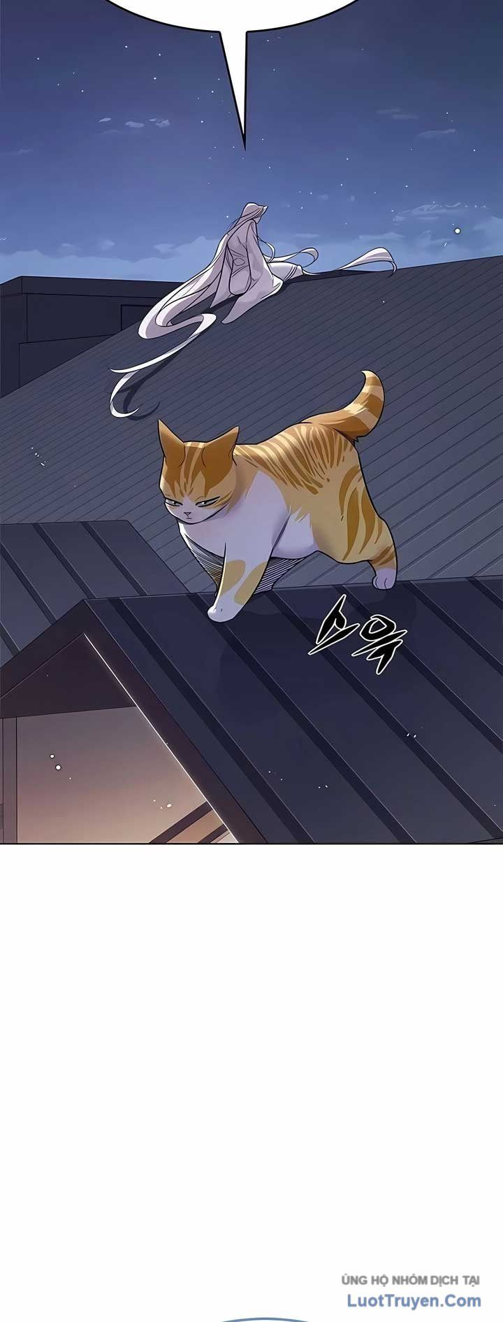 Hoá Thân Thành Mèo Chap 408 - Next Chap 409