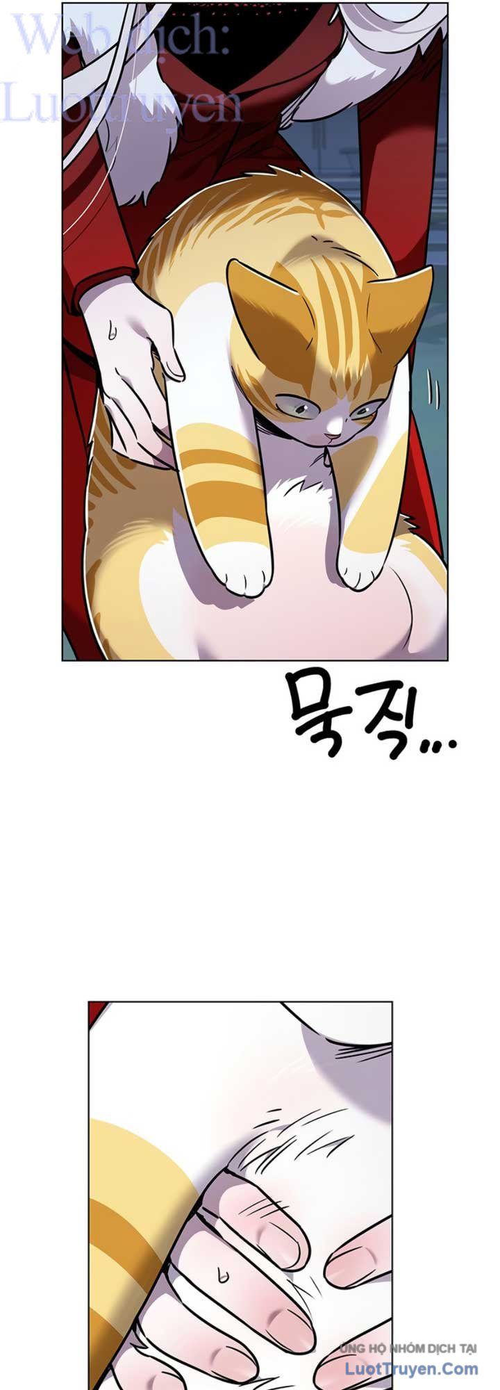 Hoá Thân Thành Mèo Chap 409 - Next Chap 410