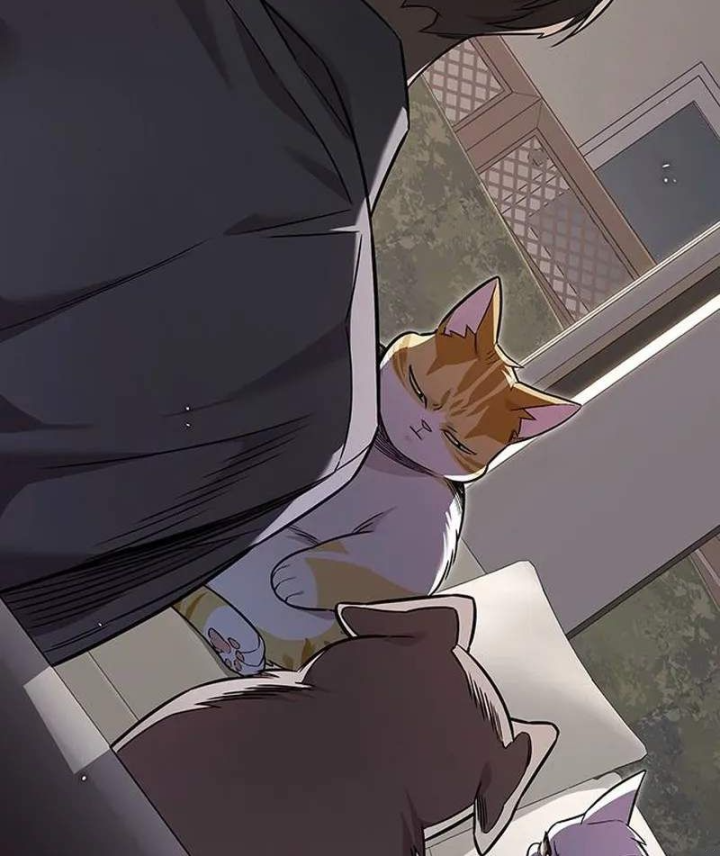 Hoá Thân Thành Mèo Chap 413 - Next Chap 414