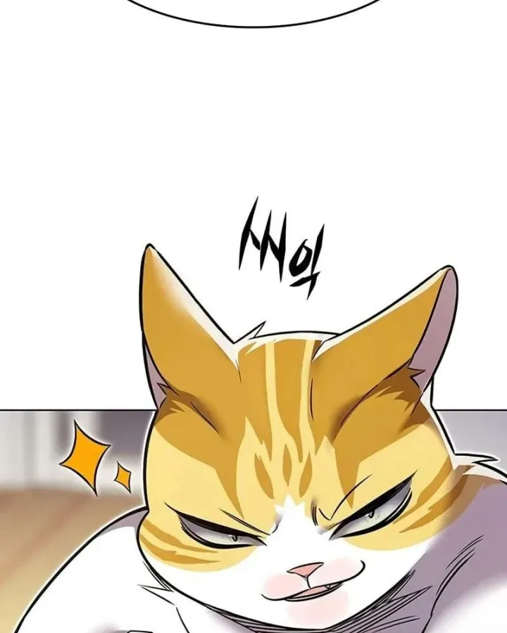 Hoá Thân Thành Mèo Chap 410 - Next Chap 411