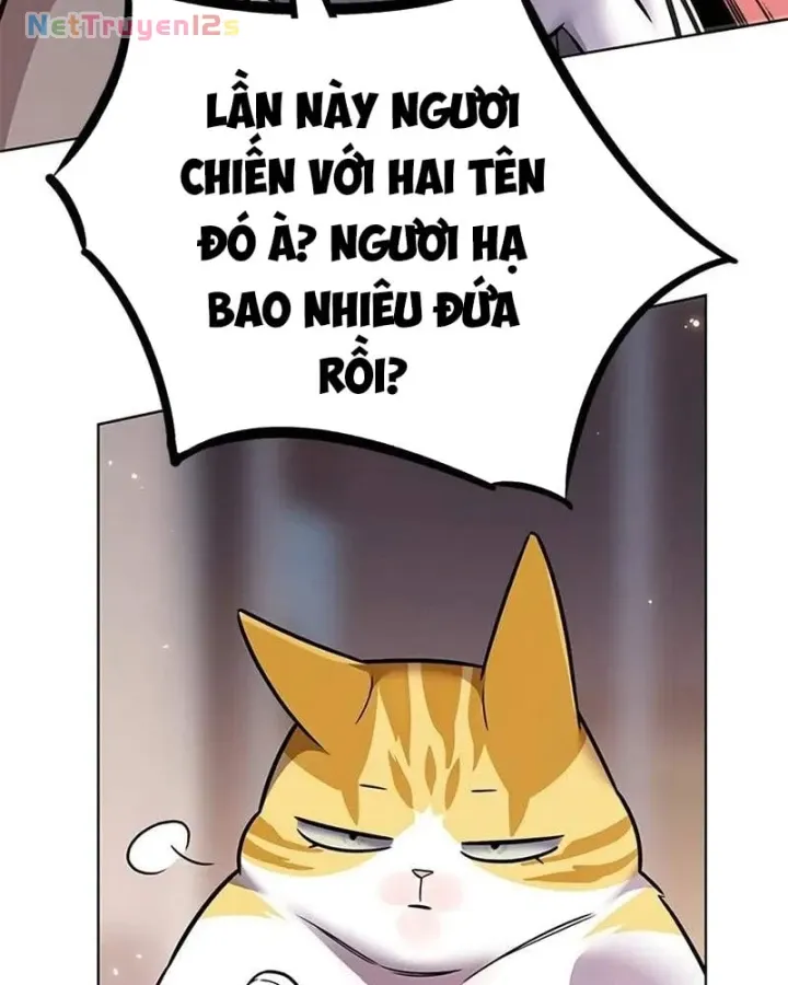 Hoá Thân Thành Mèo Chap 410 - Next Chap 411