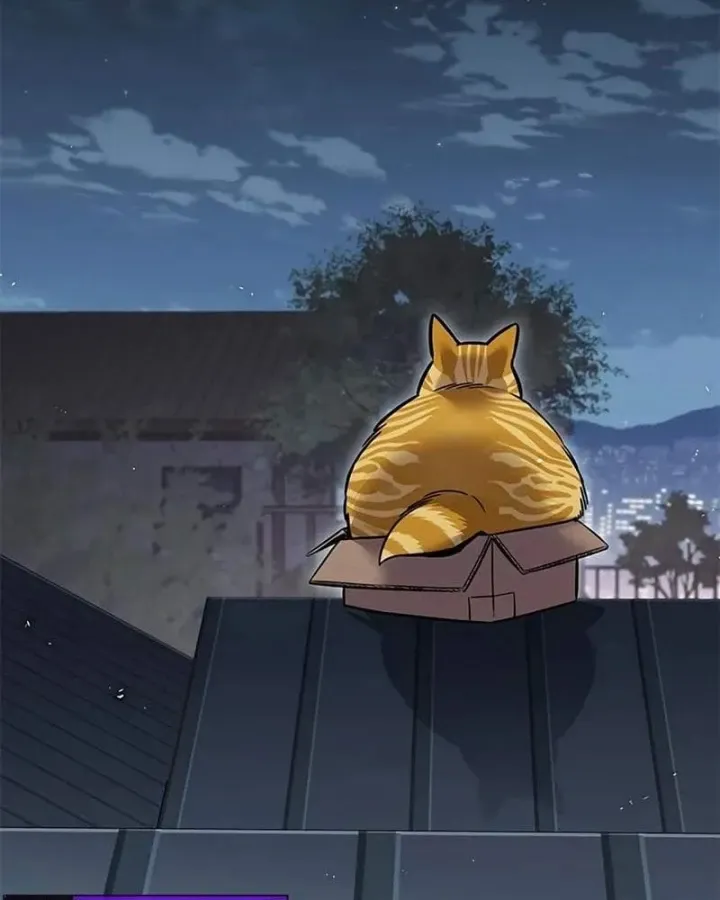Hoá Thân Thành Mèo Chap 410 - Next Chap 411