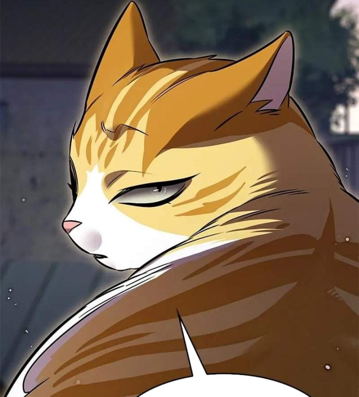 Hoá Thân Thành Mèo Chap 411 - Next Chap 412