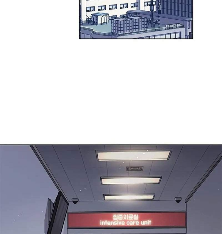 Hoá Thân Thành Mèo Chap 411 - Next Chap 412