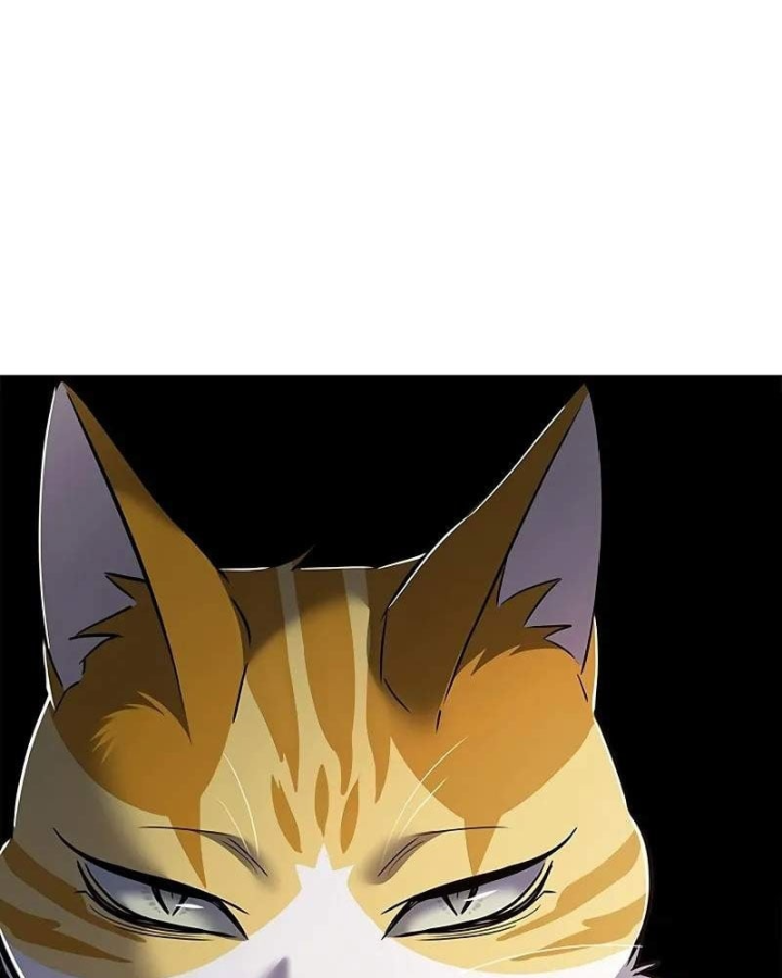 Hoá Thân Thành Mèo Chap 412 - Next Chap 413