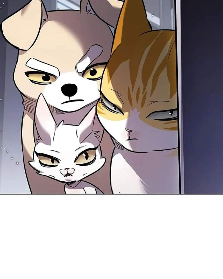 Hoá Thân Thành Mèo Chap 412 - Next Chap 413