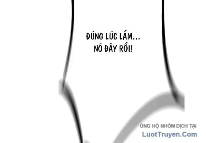 Hoá Thân Thành Mèo Chap 419 - Next Chap 420