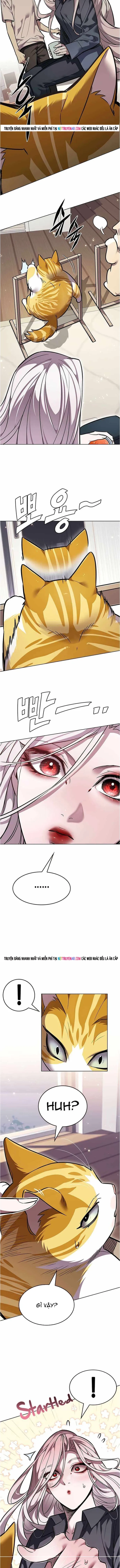 Hoá Thân Thành Mèo Chap 376 - Next Chap 377