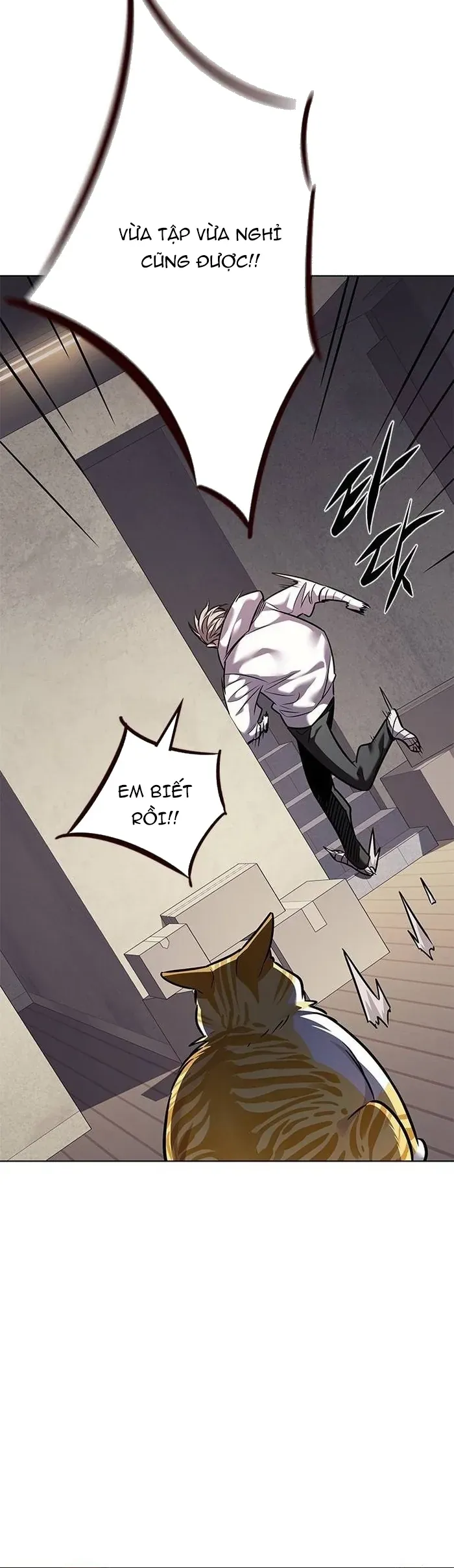 Hoá Thân Thành Mèo Chap 377 - Next Chap 378