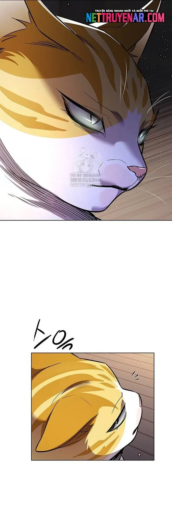 Hoá Thân Thành Mèo Chap 377 - Next Chap 378