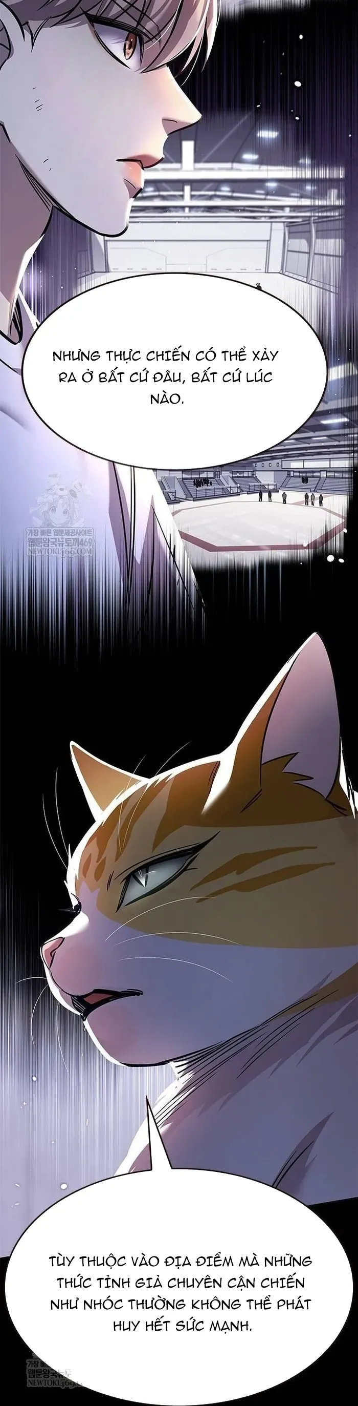 Hoá Thân Thành Mèo Chap 377 - Next Chap 378