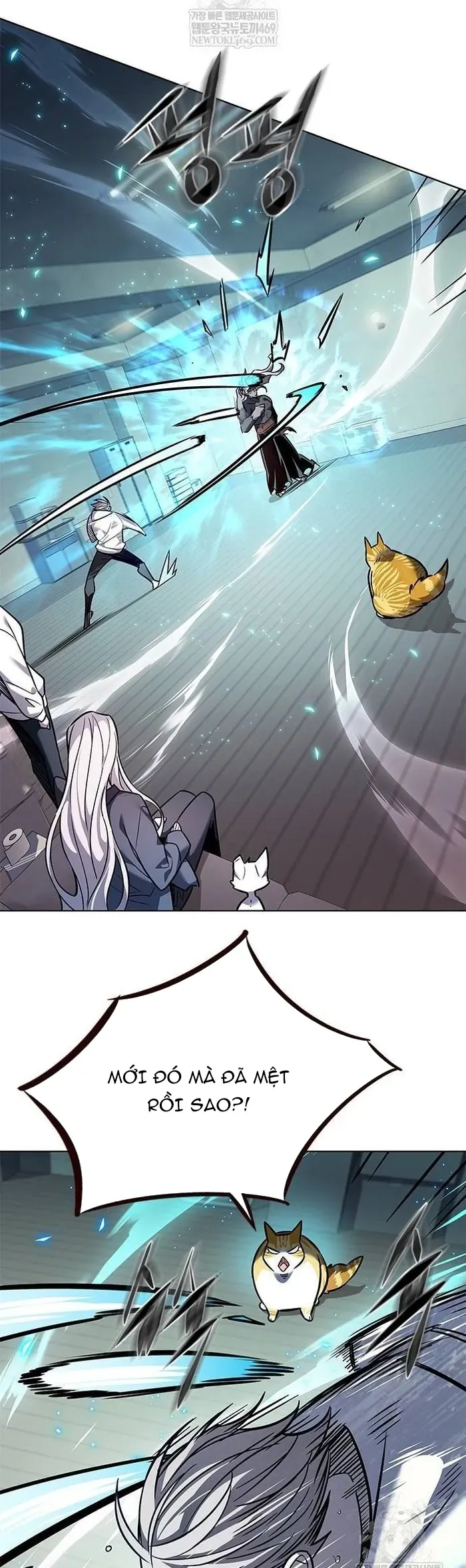 Hoá Thân Thành Mèo Chap 377 - Next Chap 378