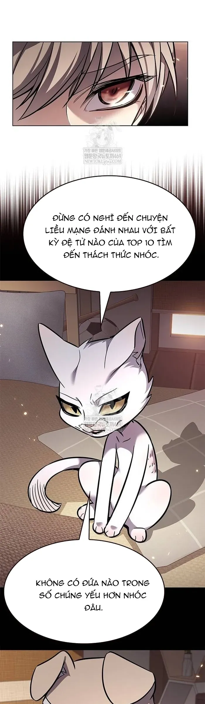 Hoá Thân Thành Mèo Chap 377 - Next Chap 378