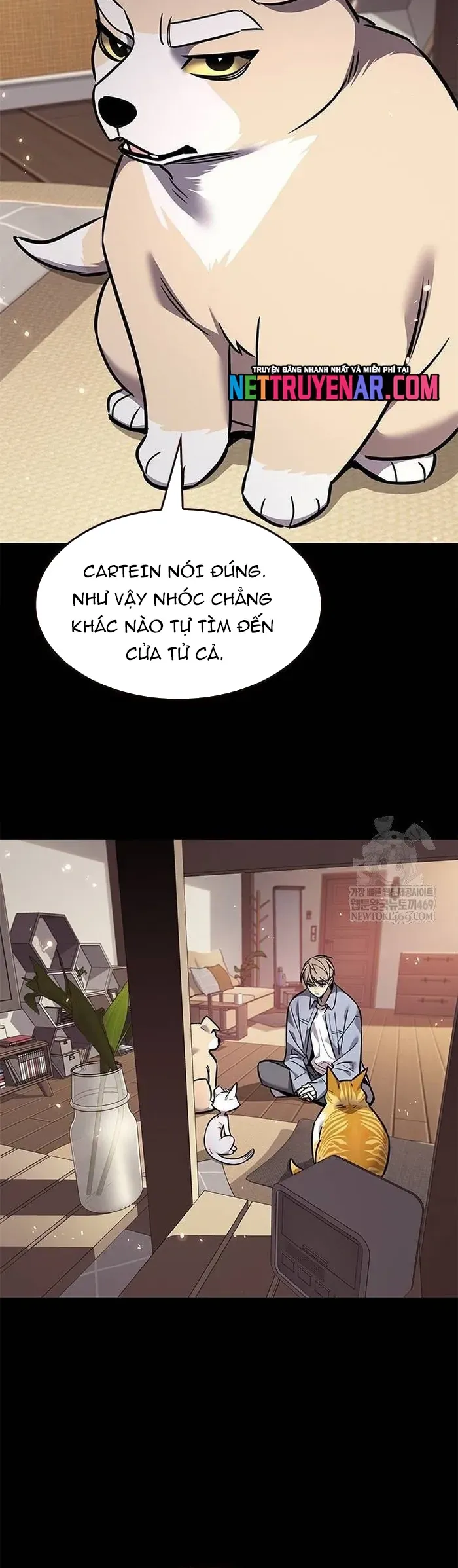 Hoá Thân Thành Mèo Chap 377 - Next Chap 378