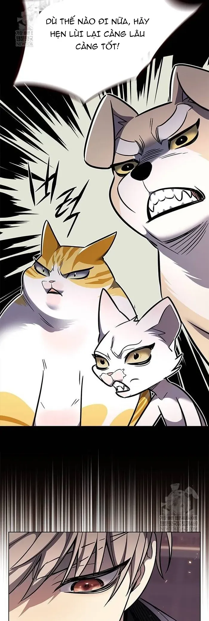 Hoá Thân Thành Mèo Chap 377 - Next Chap 378