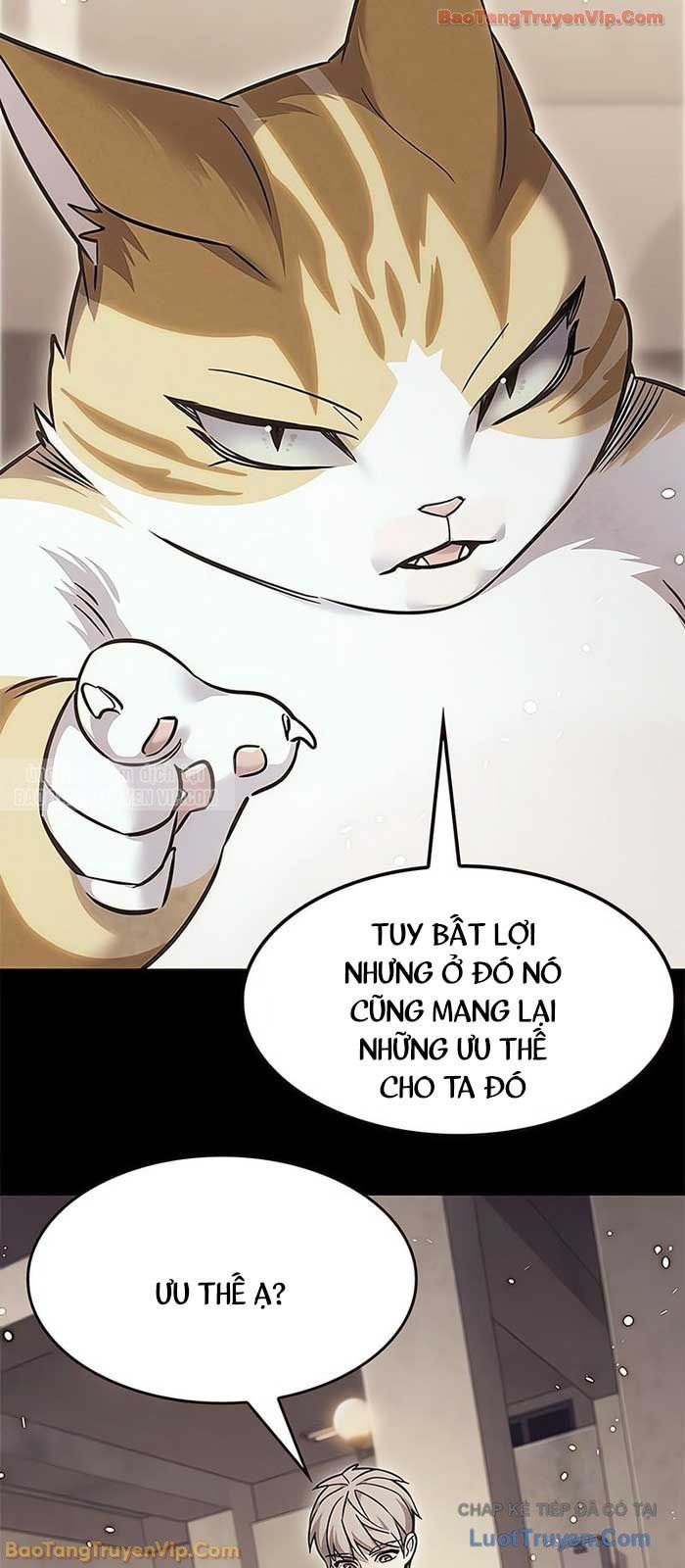 Hoá Thân Thành Mèo Chap 380 - Next Chap 381