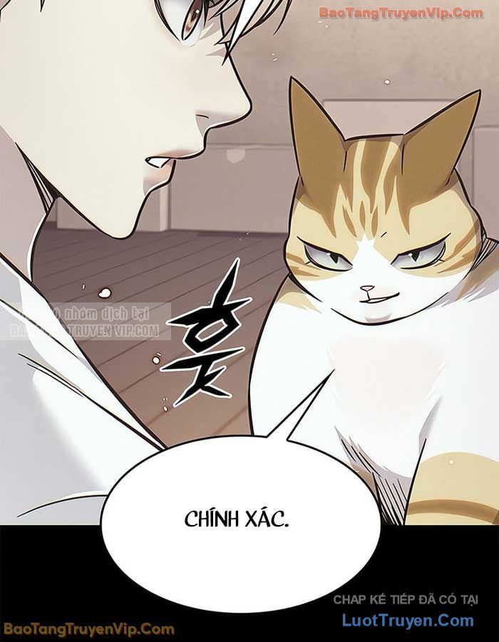 Hoá Thân Thành Mèo Chap 380 - Next Chap 381